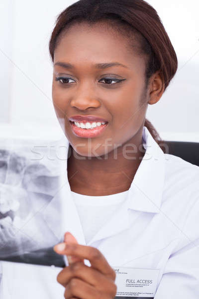 Dentista mirando mandíbula Xray sonriendo femenino Foto stock © AndreyPopov