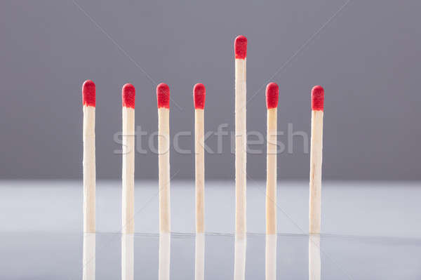 Raised Up Stick Among Unused Matchstick In A Row Stock photo © AndreyPopov