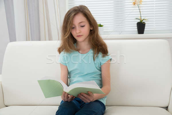Lány olvas könyv kanapé nappali otthon Stock fotó © AndreyPopov