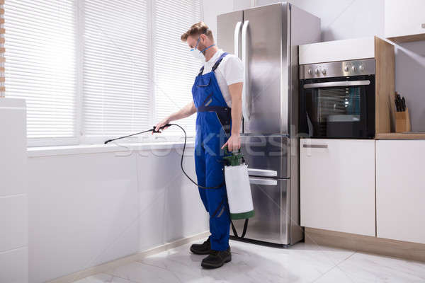 Trabajador químicos jóvenes masculina cocina casa Foto stock © AndreyPopov