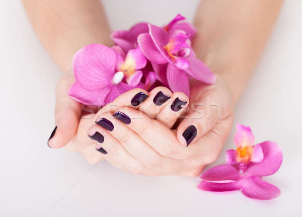 Woman with beautifully manicured nails Stock photo © AndreyPopov