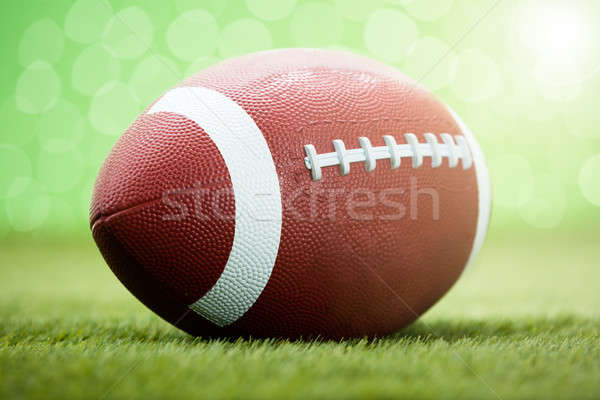 Rugby Ball On Grassy Field Stock photo © AndreyPopov