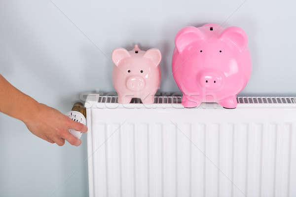 Person Adjusting Thermostat With Two Piggy Banks Stock photo © AndreyPopov