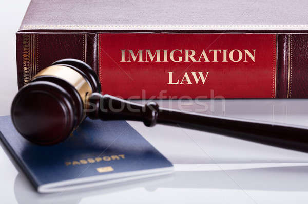 Közelkép kalapács útlevél törvény könyv iroda Stock fotó © AndreyPopov