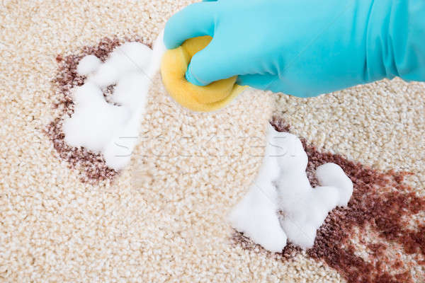 Person Cleaning Carpet With Sponge Stock photo © AndreyPopov