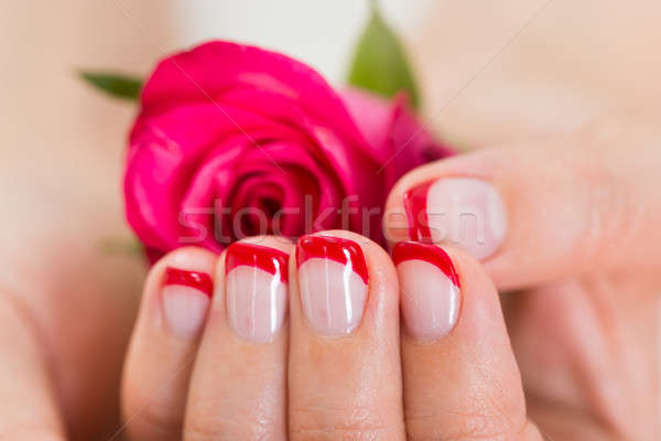 Manicured Nail With Nail Varnish Holding Rose Stock photo © AndreyPopov