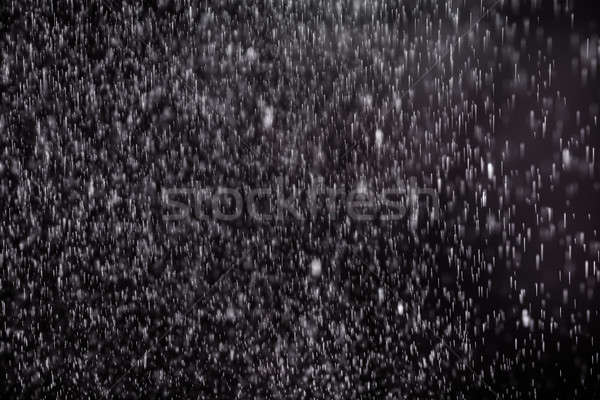 Opadów śniegu czarny szczegół shot śniegu tle Zdjęcia stock © AndreyPopov