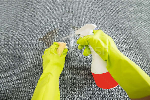 Personne nettoyage tapis détergent éponge main [[stock_photo]] © AndreyPopov