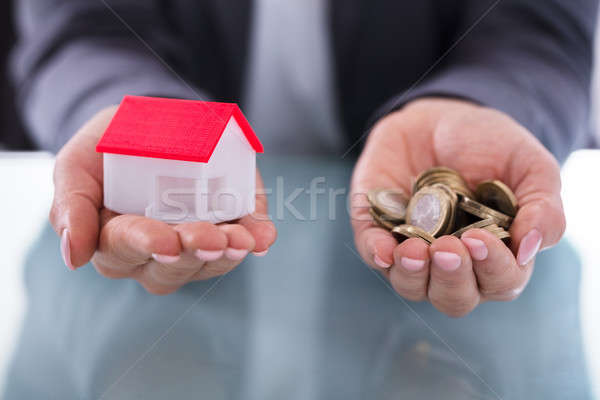 Businessperson Holding Coins And House Model Stock photo © AndreyPopov