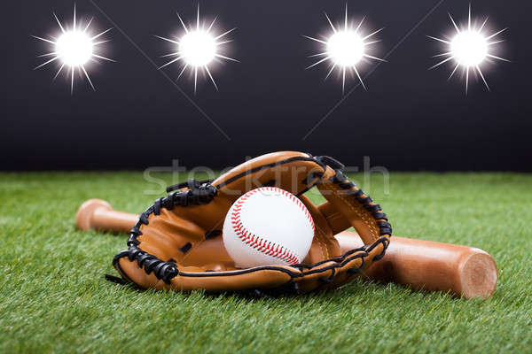 Stock fotó: Baseball · kesztyű · baseball · ütő · zöld · fű · fa · sport · mező