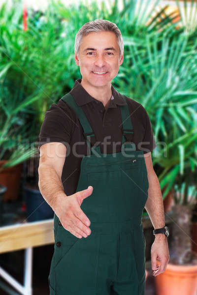 Male Gardener Extending His Hand To Shake Stock photo © AndreyPopov