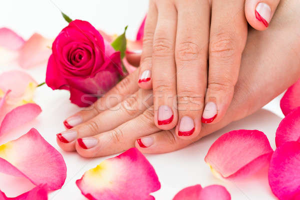 Female Hands With Manicured Nail Varnish Stock photo © AndreyPopov