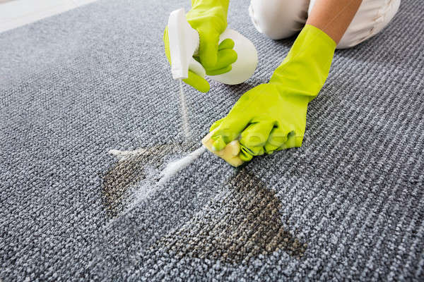 Közelkép személy kéz mosószer szőnyeg visel Stock fotó © AndreyPopov