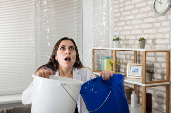 Woman Collecting Leaking Water In Bucket Stock photo © AndreyPopov