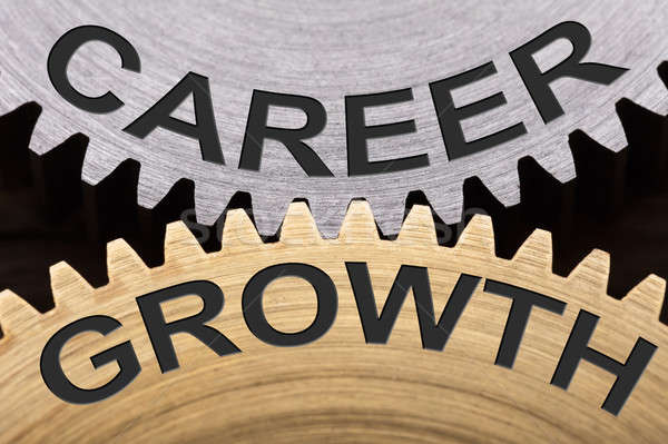Career Growth Concept On Interlocked Gearwheels Stock photo © AndreyPopov