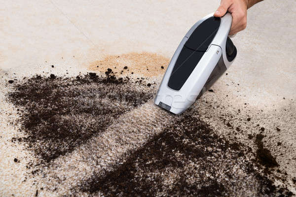 Person Vacuuming On Carpet Stock photo © AndreyPopov