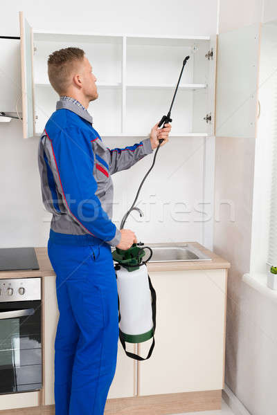 Trabajador plataforma jóvenes cocina habitación casa Foto stock © AndreyPopov