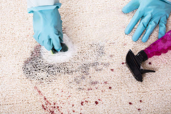 Persona limpieza mancha alfombra esponja primer plano Foto stock © AndreyPopov