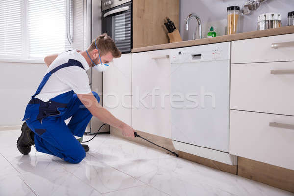 Exterminator Worker Spraying Insecticide Chemical Stock photo © AndreyPopov