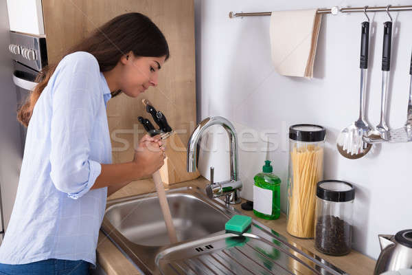 Woman Using Plunger In Blocked Kitchen Sink Stock photo © AndreyPopov
