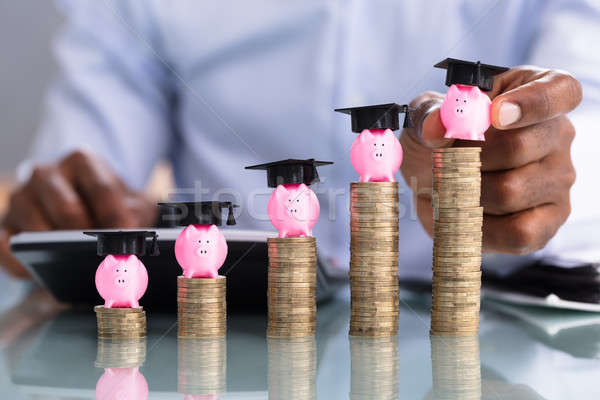 Businessperson Placing Piggybank On Coin Stacked Stock photo © AndreyPopov