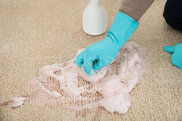 Hands Cleaning Rug With Soap Foam Stock photo © AndreyPopov