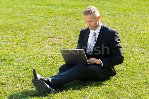 ストックフォト: ビジネスマン · ラップトップを使用して · 座って · 緑の草 · コンピュータ · 市
