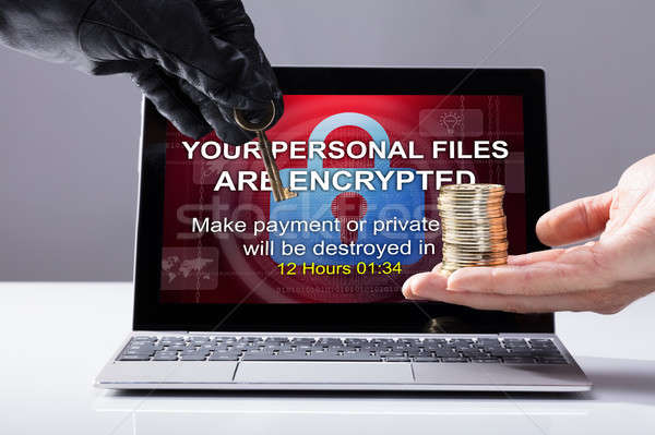 Person's Hand Giving Stacked Coins To Hacker Stock photo © AndreyPopov