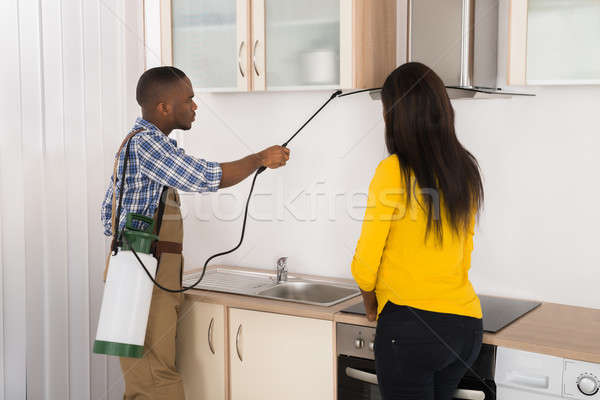 Male Worker Spraying Insecticide Stock photo © AndreyPopov