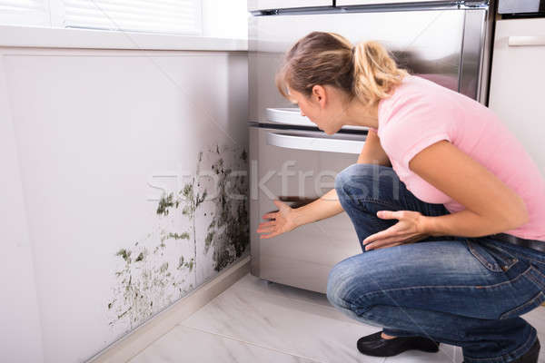 Shocked Woman Looking At Mold On Wall Stock photo © AndreyPopov
