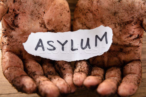 Man With Piece Of Paper Showing Asylum Word Stock photo © AndreyPopov