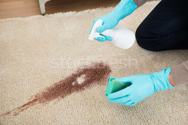 Man Spray Bottle And Sponge Cleaning Red Wine On Rug Stock photo © AndreyPopov