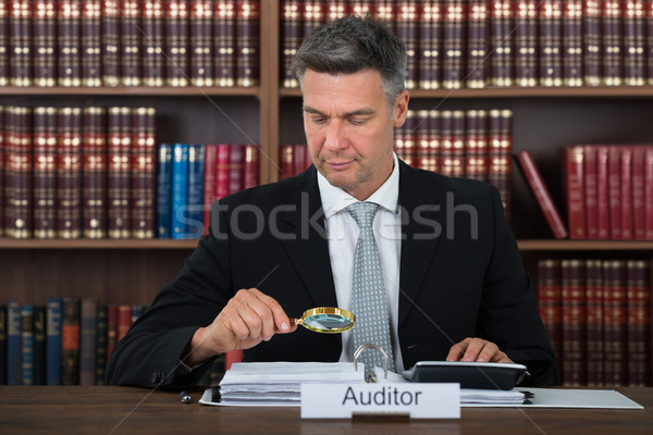 Auditor Scrutinizing Financial Documents In Office Stock photo © AndreyPopov