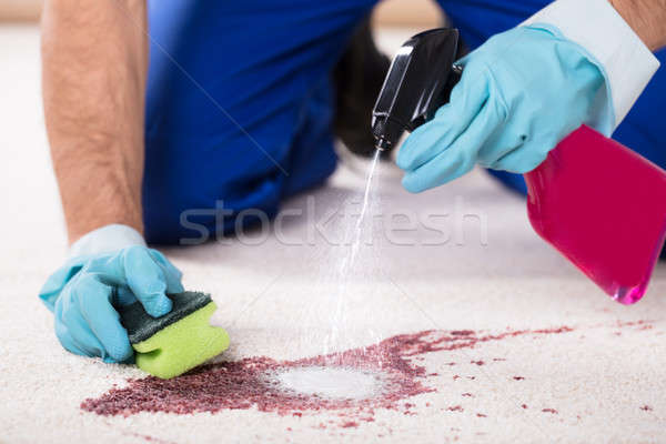 Mão humana limpeza mancha tapete vinho detergente Foto stock © AndreyPopov