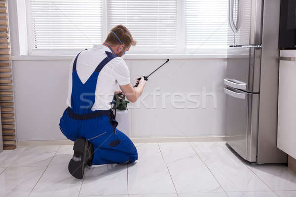 Exterminator Worker Spraying Insecticide Chemical Stock photo © AndreyPopov