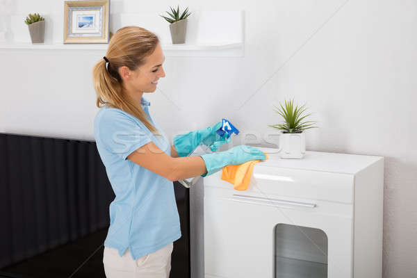 Woman Using Spray Bottle And Cloth To Clean The House Stock photo © AndreyPopov