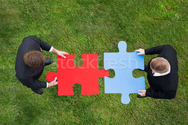 Geschäftsleute Puzzle Stücke stehen grasbewachsenen Bereich Stock foto © AndreyPopov