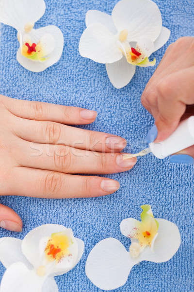 Manicurist Applying Plain Varnish On Woman's Nail Stock photo © AndreyPopov