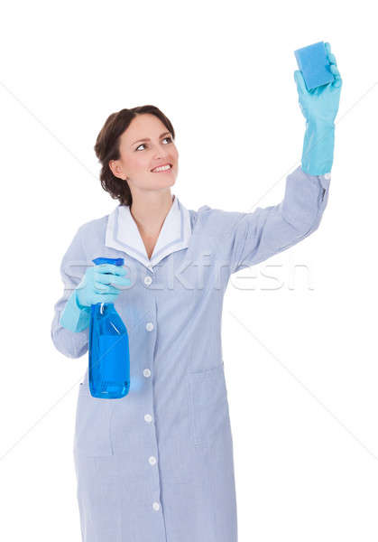 Woman Holding Cleaning Liquid And Scrubber Stock photo © AndreyPopov
