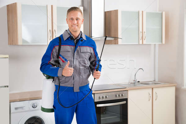 Stockfoto: Werknemer · jonge · gelukkig · keuken · kamer