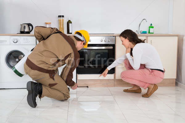 Stock photo: Worker Spraying Insecticides In Front Of Housewife