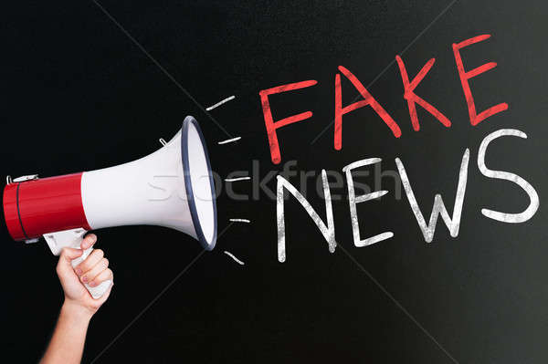 Hand halten Megaphon Fake News geschrieben Stock foto © AndreyPopov