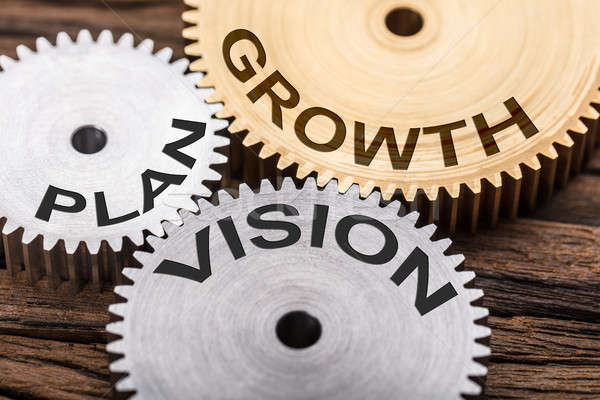 Closeup Of Plan  Vision And Growth Interlocked Cogwheels Stock photo © AndreyPopov