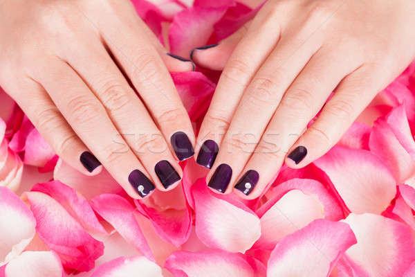 Woman with beautiful nails holding petals Stock photo © AndreyPopov