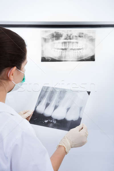 Dentist Examining Xray Stock photo © AndreyPopov
