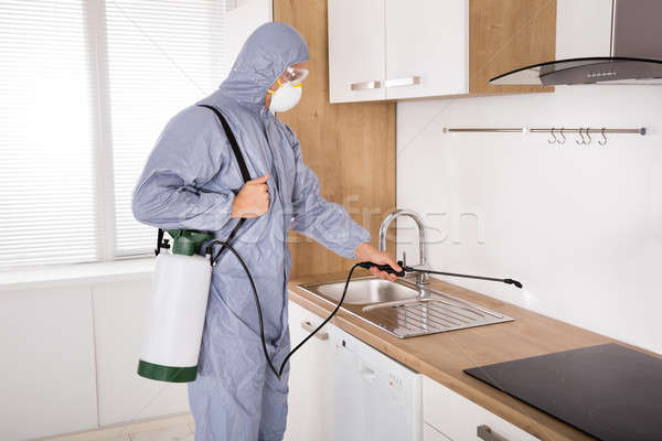 Pest Control Worker Spraying Pesticide In Kitchen Stock photo © AndreyPopov