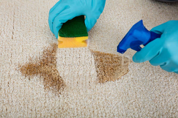 Person Cleaning Stain With Sponge On Carpet Stock photo © AndreyPopov