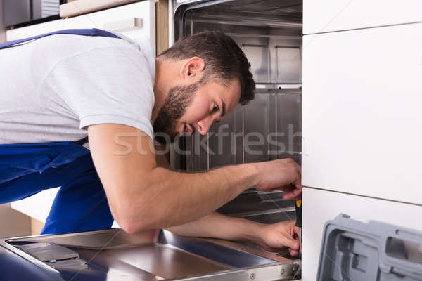 Foto stock: Técnico · lavavajillas · jóvenes · masculina · cocina