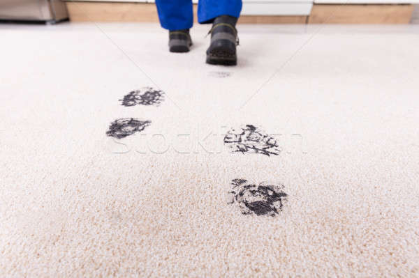 Elevated View Of Muddy Footprint On Carpet Stock photo © AndreyPopov