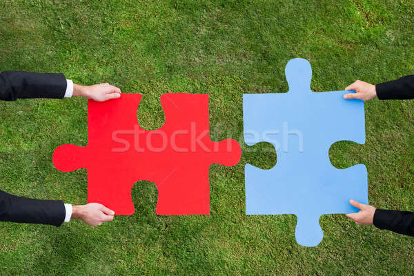 Businessmen Joining Jigsaw Pieces Over Grassy Field Stock photo © AndreyPopov